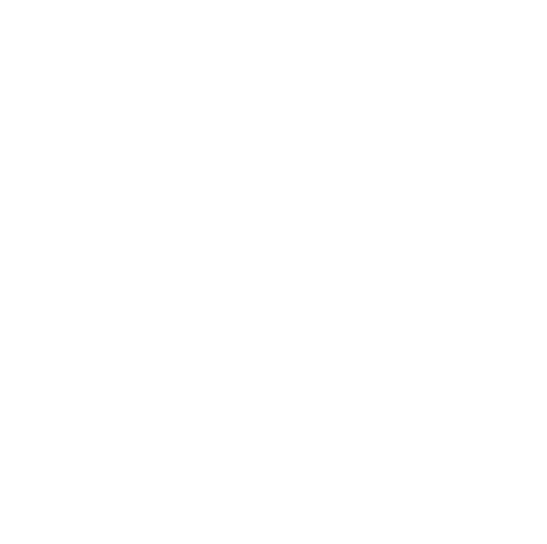 Box Hill High School Logo